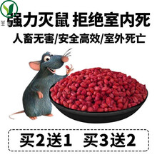 姒桀老鼠药高毒颗粒耗子药高效强力药一窝端家用驱鼠剂灭鼠药 100g试用装  买2送1 买3送2