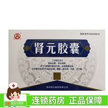 建鸿 肾元胶囊 0.4g*24粒/盒 活血化瘀 利水消肿 1盒装