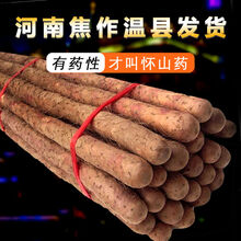 焦作温县铁棍山药正宗怀山药铁杆山药新鲜蔬菜河南特产 粉糯香甜 5斤温县铁棍实惠装40-50