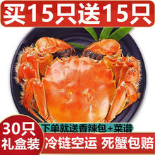 【活鲜】大闸蟹足称现货5.0-4.5两30只大闸蟹全公母螃蟹鲜活六月黄特大活体 塞红康尔 【超值款】买15只加15只共30只