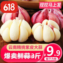 大蒜 蒜 云南新鲜湿紫皮大蒜 蒜头 新鲜蔬菜 轻食/健康轻食 3斤装