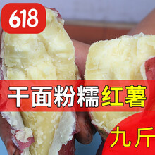 洪洞红薯干面甜红皮黄白心粉面山芋板栗番薯红苕新鲜现挖五斤九斤G 五斤干面红薯(3到8两中小果)
