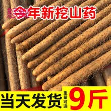 小白嘴白山药铁棍山药新鲜蔬菜铁杆淮山药5斤 胜河南焦作温县垆土 小白嘴山药  40-50三斤【试吃】