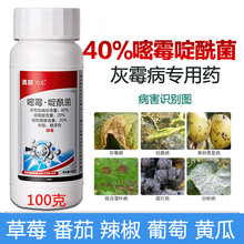 嘧霉啶酰菌铵胺灰霉病专用药霜霉葡萄黄瓜草莓番茄辣椒农药剂 100g