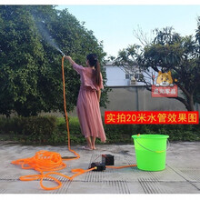 家用洗车机高压洗车泵水枪泵清洗机神器12伏强劲大功率智能双泵12V喷雾器改装双泵高压打药洗车浇花水泵 智能双泵+20米水管+喷枪【】