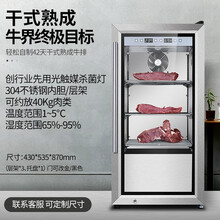 美伴家（meibanjia）干式熟成牛肉柜排酸 DRYAGER恒温恒湿餐厅DA牛排自制嵌入式牛排柜 家用轻松自制干式牛排柜 75L
