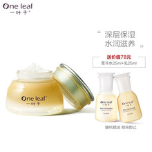 一叶子护肤品套装女面膜补水保湿提亮肤色细致毛孔滋润肌肤深层清洁雪耳洗面奶水乳精华面霜化妆品情人节礼物 【雪耳面霜 50g】
