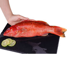 海捕石斑鱼海鲜水产鲜活冷冻带鱼马鲛鱼黄花大深海鱼 名贵东星斑500克1条