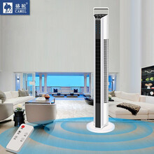 骆驼 CAMEL电风扇家用塔扇落地扇摇头无叶风扇塔式轻音立式无页台式电扇 TC-TS17 机械款2106白色