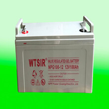  WTSIR UPS电源原装蓄电池 NPG100-12 12V100Ah