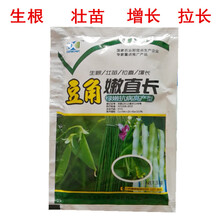 豆角嫩直长花荚宝 豆角叶面肥提高座果率结荚多拉直拉长