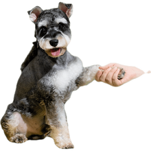 趣汇宠物万能差价运费链接 单件