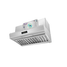 优谷 烟罩 油烟净化一体机净化器 3700*600*1000  304不锈钢 1个