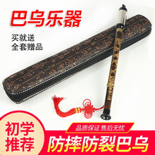 巴乌乐器小学生竖吹专业演奏g调f调儿童成人初学者入门单管乐器 巴乌 G调