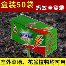 2021新品蚂蚁药 灭蚂蚁药粉剂室外用院子花园户外大棚全窝端治杀菜地田地花盆植物
