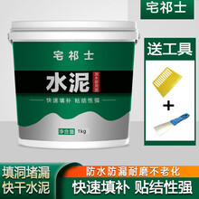宅祁士 黑水泥 水泥地面修补 白水泥家用快干防水堵漏王速干填缝胶泥砂浆 水泥胶 高强型黑水泥1kg（加水即用）