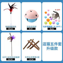 猫玩具自嗨逗猫棒激光笔耐咬羽毛神器猫抓板小猫猫薄荷鱼猫咪用品 逗猫棒五件套升级款