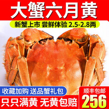【活蟹】阳澄清歆大闸蟹 六月黄现货鲜活特大螃蟹 活蟹实物 公蟹全母蟹  生鲜水产礼盒装 六月黄大闸蟹2.5-2.8两 十只礼盒装