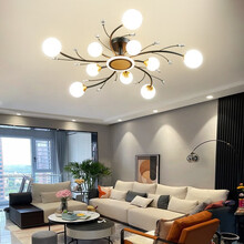 瑶影 客厅灯简约现代轻奢大气水晶吸顶灯2021年新款北欧创意网红复式楼大厅吸顶灯具全屋套餐组合 XWJ-628黑金10头110CM70W遥控调光