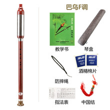 杉贝 SHANBEI 巴乌乐器横吹竖吹小学生成人儿童初学者入门抖音同款 巴乌竖吹F调+六大