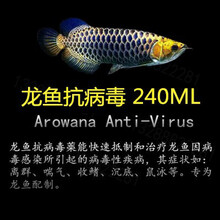 祥龙龙鱼药水金龙鱼红龙鱼药水质安定剂硝化细菌药蒙眼药 祥龙龙鱼 240ml