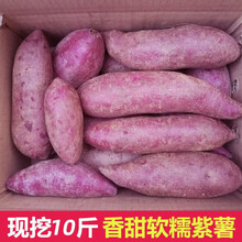 【农家精选紫薯 】10斤沙地紫薯新鲜 番薯板栗红薯地瓜蜜薯蔬菜2斤 紫薯带箱10斤