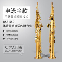 法国布兰琪【Blanche】降B调高音萨克斯一体管风管乐器 初学者考级专业演奏 BSS-580电泳金款