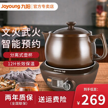 九阳（Joyoung）煎药壶中药壶熬药锅 养生壶 4L大容量 耐热陶瓷 液体加热器 智能药膳煲家用 4002BQ