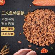 美滋元 幼猫猫粮 三文鱼 肉味 通用型宠物幼猫粮5斤 三文鱼味幼猫猫粮（5斤）