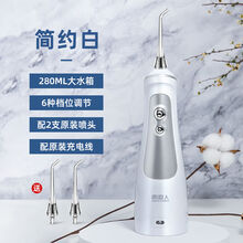南极人洗牙神器冲牙器电动牙结石去除器声波家用洁牙器洗牙结石 日常护齿白【2支喷头】