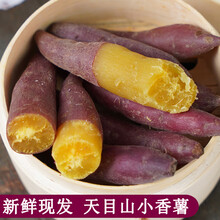 梓乐果 3/5斤临安天目山小香薯新鲜红薯正宗板栗沙地番薯地瓜手指小红薯 3斤 中果