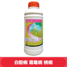 秀芬宁 粉锈宁 三唑酮 黑斑黑星病锈病白粉病霜霉剂400克 400g
