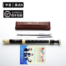 孔声竖笛8孔德式G高音C调英式B初学者学生课堂教学笛子成人吹奏乐器 【英式B】8孔中音F调（巴洛克式）+教材书