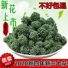 杞里香 三七花茶云南500g野生四年田七花文山特级三七花茶泡水喝功效 2020精选4年花100克