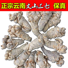 康中尊 三七头可打三七粉20头30头田七500g田七粉云南文山 精选70头1斤