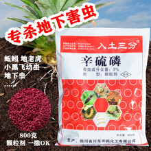 土虫丹根线虫专用药土虫净杀蚯蚓的药辛硫磷辛硫麟地下害虫颗粒剂 2400g