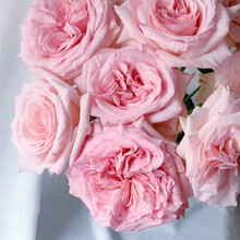 花集配 粉色玫瑰 粉荔枝8枝+2枝防损  七夕情人节礼物云南昆明花材批发花卉办公室家庭花瓶水养鲜切花