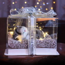 生日礼物送女生闺蜜少女心520情人节送女友朋友姐妹实用ins浪漫创意 小狸猫礼盒 17*17*12cm