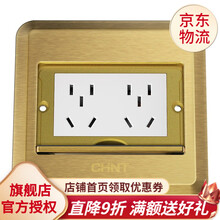 【七仓直发】正泰地插 滑盖式多功能黄铜五孔十孔地插开关隐藏式地板插座（底盒请另拍） 10孔地插