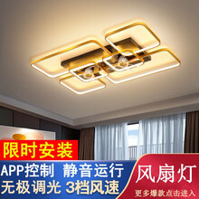 欣兰朵客厅吸顶风扇灯北欧轻奢卧室餐厅灯全屋套餐家用隐形吸顶电扇灯主卧房间书房灯扇一体灯具 客厅黑白小号无极带遥控-适用10-20平