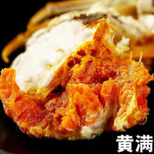 活鲜【冷链运输】大闸蟹鲜活体现货六月黄 特大公母螃蟹1.3-6两礼盒装罗莫利得 款【2.0-2.5两】16只鲜