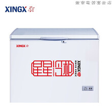 星星（XINGX） 家用商用双温冰柜 双箱冷柜 左冷冻右冷藏冰箱 顶开门大容量 【店铺】219升单温柜