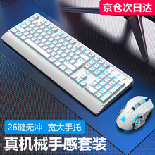 暴狼客发光游戏键盘鼠标套装有线悬浮机械手感键鼠套装台式电脑笔记本外接USB键盘办公家用 白色冰蓝发光键盘+机械蛇金属底白鼠标