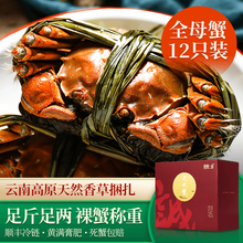 【活蟹】诚蟹一品 大闸蟹鲜活 全母蟹12只装 螃蟹生鲜现货特大 中秋国庆节日水产礼盒 全母蟹2.9-3.2两 12只