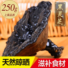 敬贤堂 黑灵芝 长白山半黑灵芝 紫黑灵芝 整枝灵芝林芝 黑灵芝250g