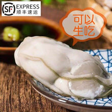 顺丰 现剥生蚝肉海蛎子牡蛎肉生鲜干海产品扇贝肉 500g(一包一斤装)