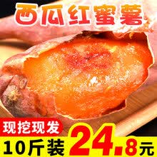 河南山地蜜薯西瓜红 5斤/9斤蜜薯 甜蜜红心红薯地瓜烤地瓜 5斤装