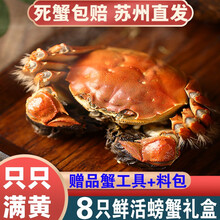 【活蟹】8只阳澄东湖大闸蟹鲜活螃蟹现货海鲜水产礼盒装 全公蟹：4.5-4.8两（8只）