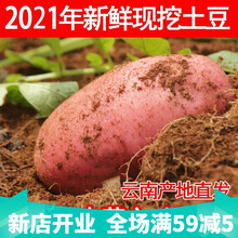 云南新鲜高原红皮黄心土豆 大果9斤农家自种有机马铃薯 4500g