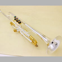 SUZUKIMUSIQUE铃木小号乐器xr600 197XS降B调磷铜镀银专业演奏学生初学 197XS-72(金上下盖 金变音管)三天内发货